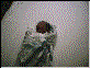 carrie_1_1_s.gif (3195 bytes)