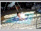 carrie_3_15_s.gif (3349 bytes)