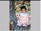 carrie_3_8_s.gif (3349 bytes)